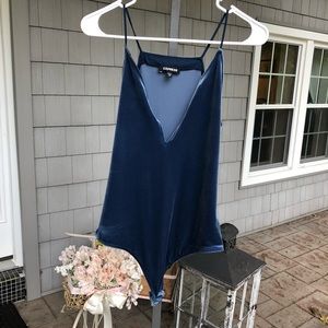 Velvet deep v bodysuit